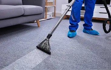 Carpet Cleaning