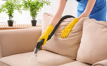 Upholstery Cleaning