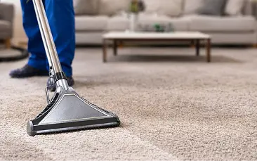 Area Rug Cleaning
